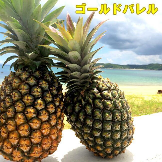 沖縄産ゴールドバレル 2玉 約2kg 送料無料 高級パイナップル通販