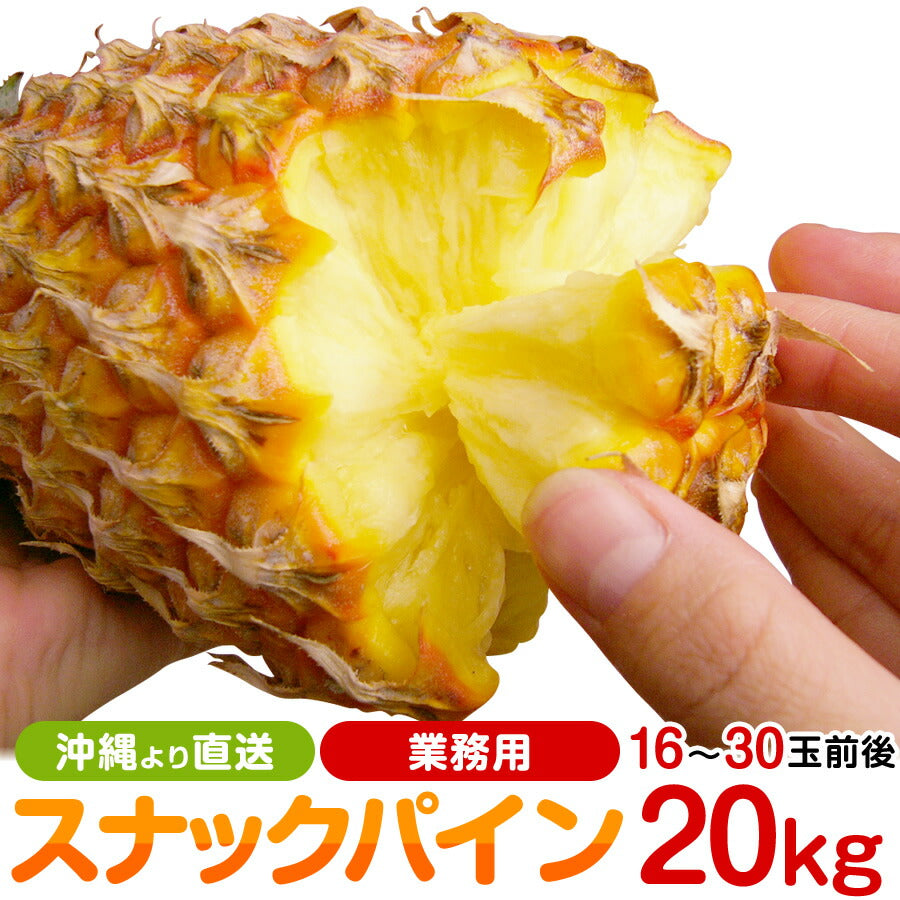 沖縄県産スナックパイン 20kg 16〜30玉前後の業務用 – 長浜商店