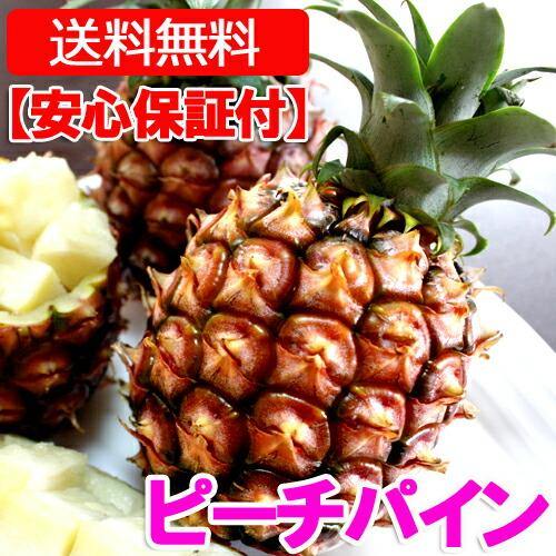 沖縄産ピーチパイン(パイナップル) 安心保証付き 送料無料お試し1.5kg