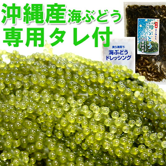 沖縄産 海ぶどう／100g☆天皇杯受賞【海ぶどう専用タレ付】海藻3袋以上