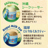 ブルーシール アイス ギフト 18個 詰め合わせ 送料無料 沖縄 アイスクリーム お中元 誕生日 プレゼント