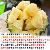 沖縄産ゴールドバレル 1玉 約1kg 送料無料｜高級パイナップル お取り寄せ