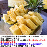 沖縄産ゴールドバレル 1玉 約1kg 送料無料｜高級パイナップル お取り寄せ