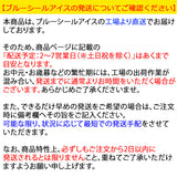 ブルーシール アイス ギフト 18個 詰め合わせ 送料無料 沖縄 アイスクリーム お中元 誕生日 プレゼント