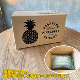 パイナップルチーズケーキ 沖縄産 スナックパイン使用 濃厚 チーズケーキ ギフト お取り寄せスイーツ 送料無料