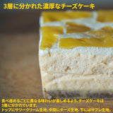 パイナップルチーズケーキ 沖縄産 スナックパイン使用 濃厚 チーズケーキ ギフト お取り寄せスイーツ 送料無料