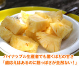 沖縄産ゴールドバレル 2玉 約2kg 送料無料　高級パイナップル