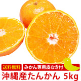 沖縄 たんかん＼タンカン専用皮むき付／沖縄産 タンカン 5kg (ギフト用：秀品)  送料無料 産地直送！沖縄オレンジ(沖縄みかん)