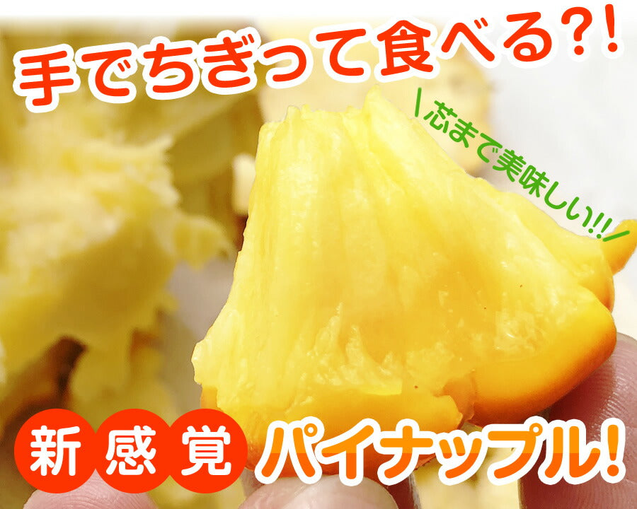 沖縄県産スナックパイン 5kg 手でちぎって食べられる大容量用 – 長浜商店