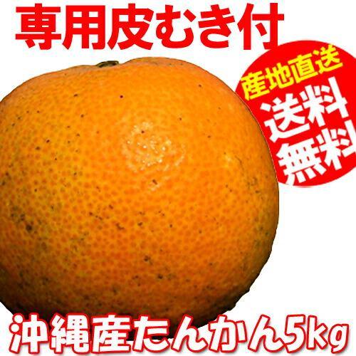 沖縄 たんかん＼タンカン専用皮むき付／沖縄産 タンカン 5kg (優品) 送料無料 産地直送！沖縄オレンジ(沖縄みかん)