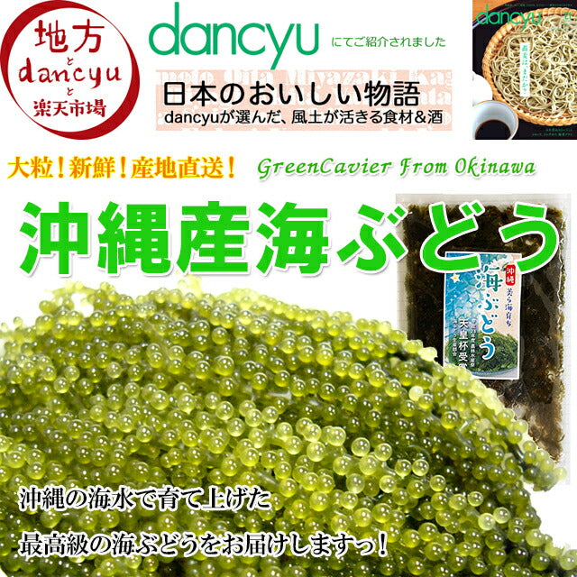 沖縄産 海ぶどう／100g☆天皇杯受賞【海ぶどう専用タレ付】海藻3袋以上